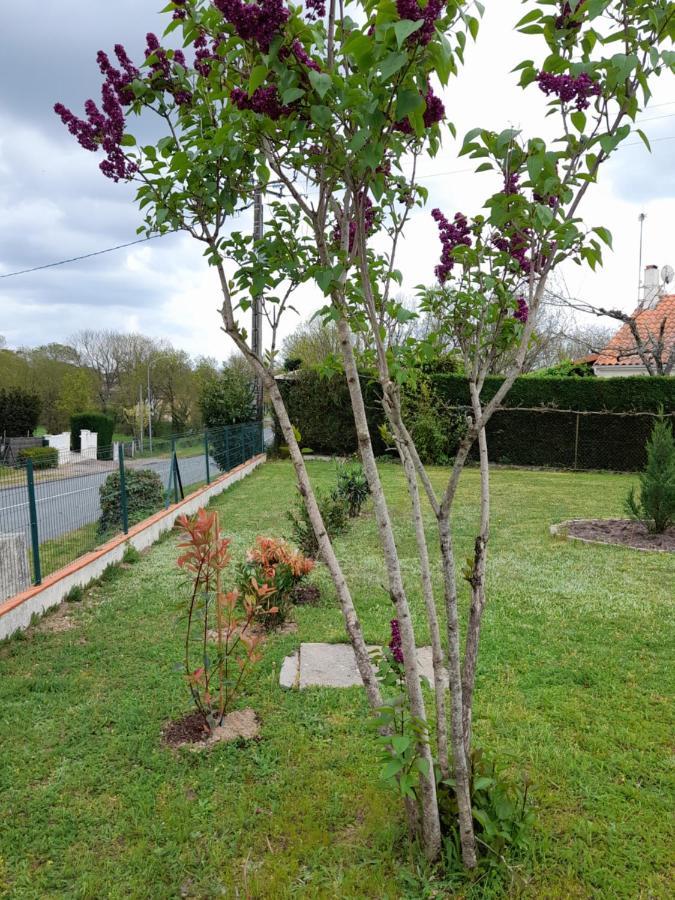 מונטמוריון La Belle Maisonette מראה חיצוני תמונה
